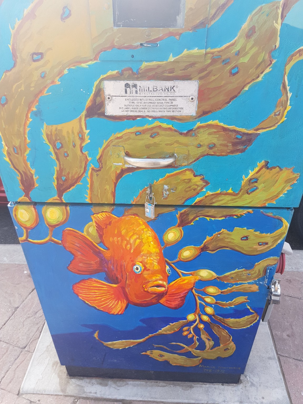 Colourful fish artwork
