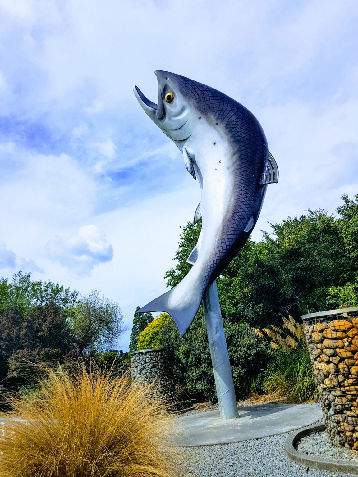 Fishing course image
