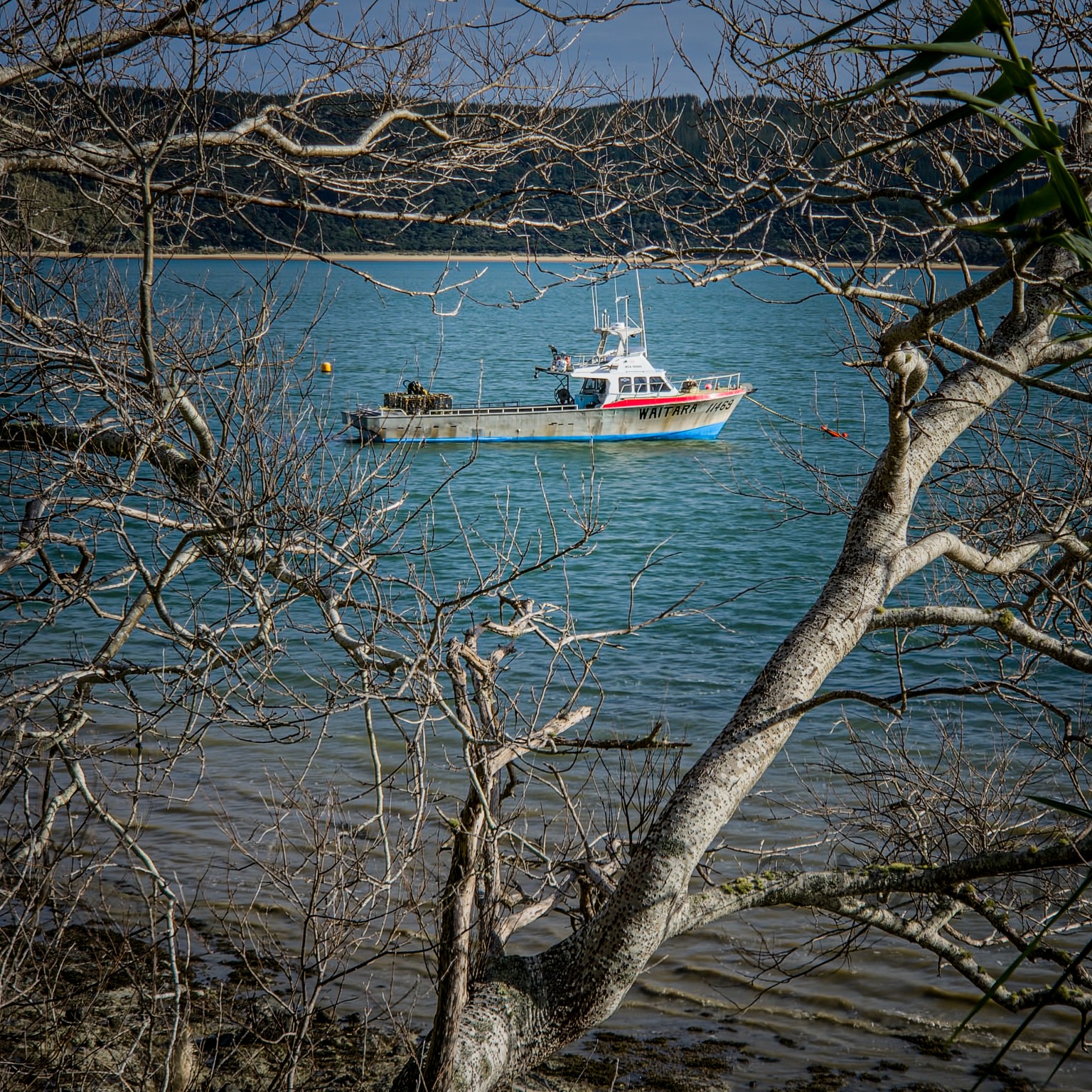 Fishing boat