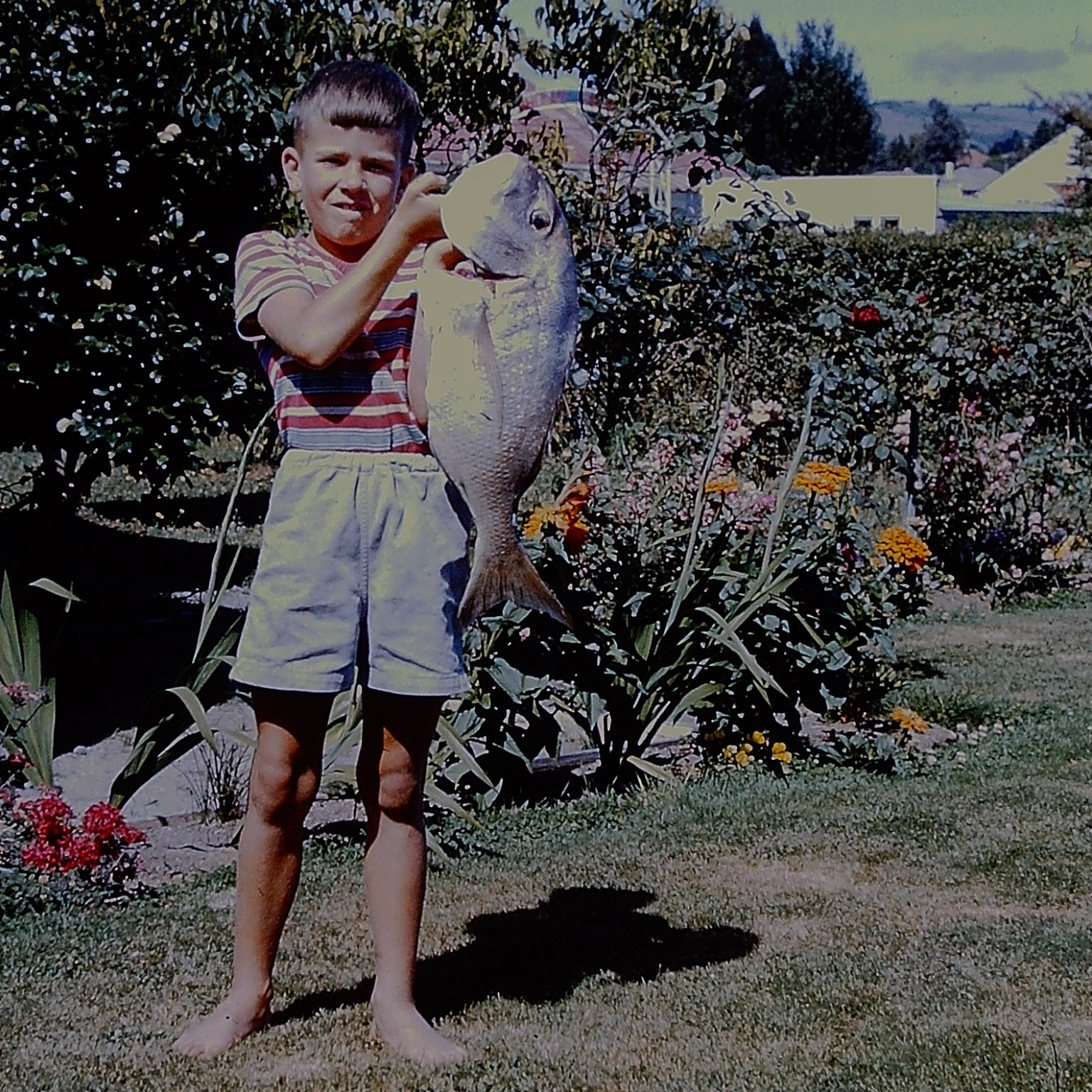Young Ian holding a snapper in the garden